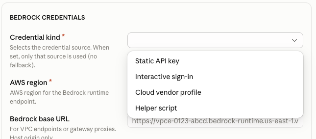 Desplegable de credential kind mostrando Static API key, Interactive sign-in, Cloud vendor profile y Helper script
